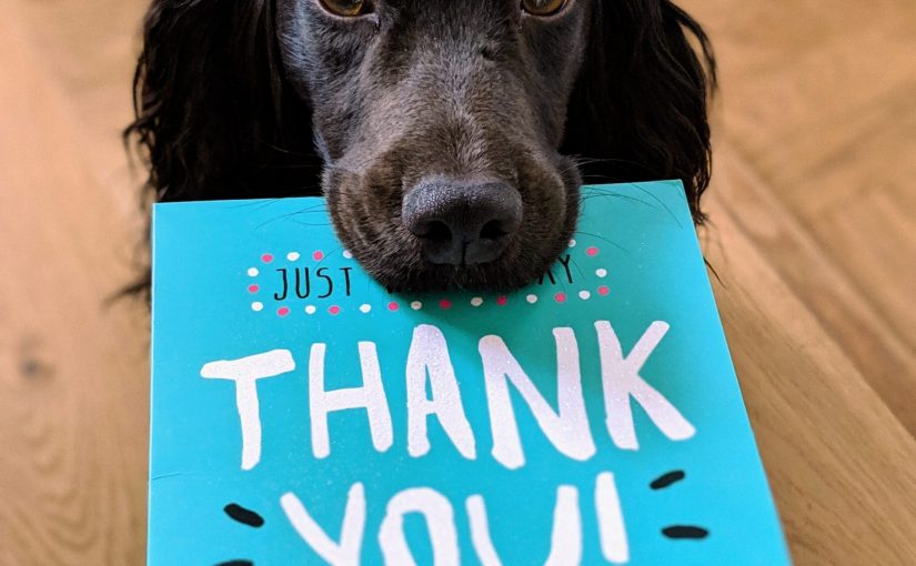 Dog with thank you note